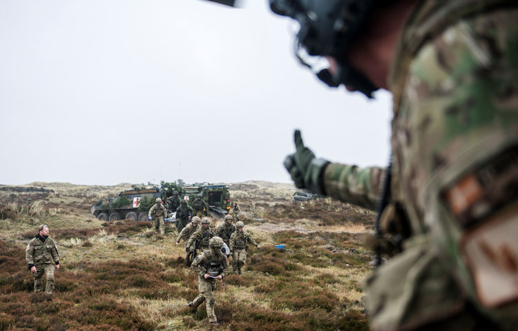 oevelse-brave-lion-beskaaret