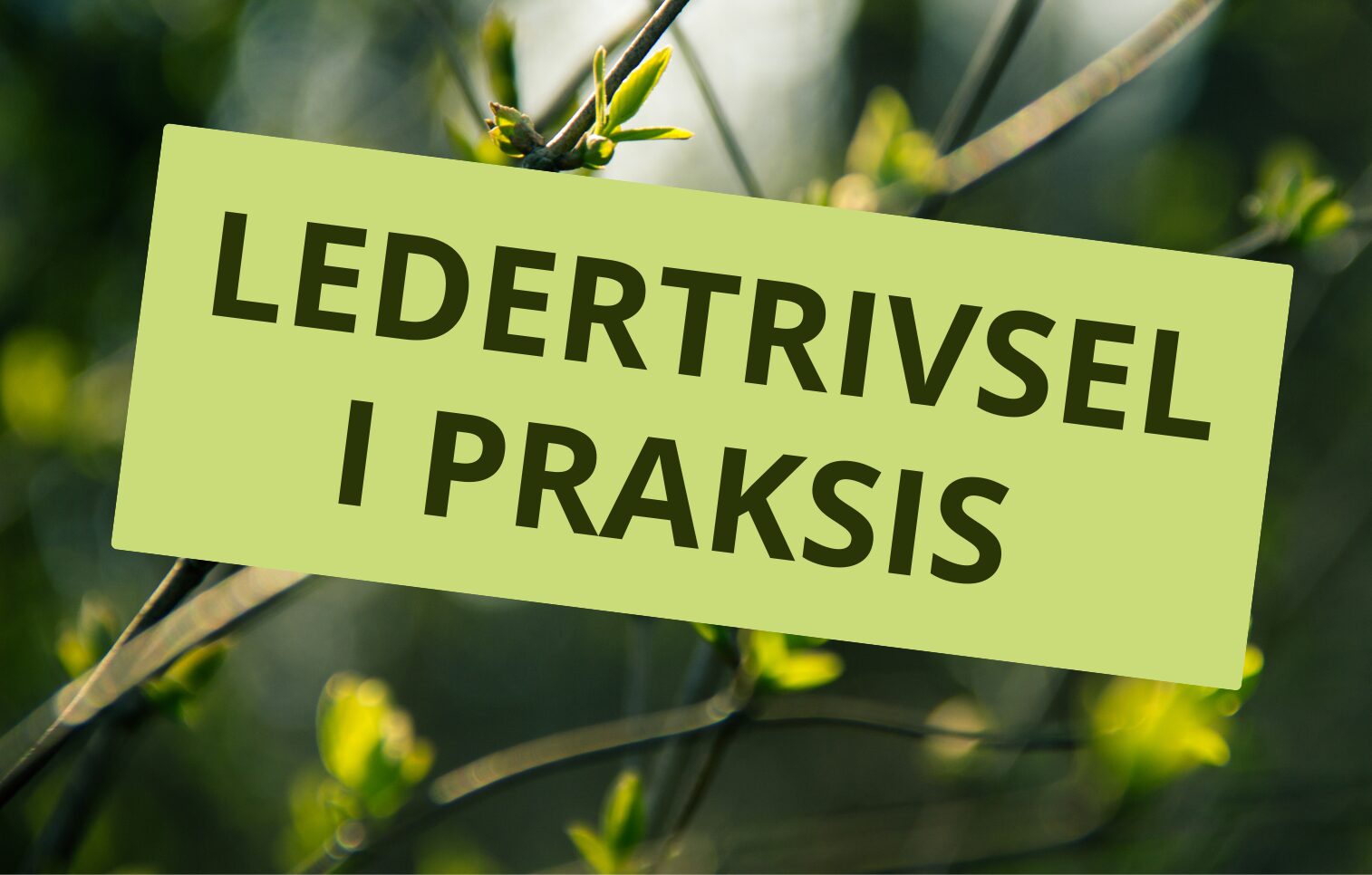 Ledertrivsel i praksis
